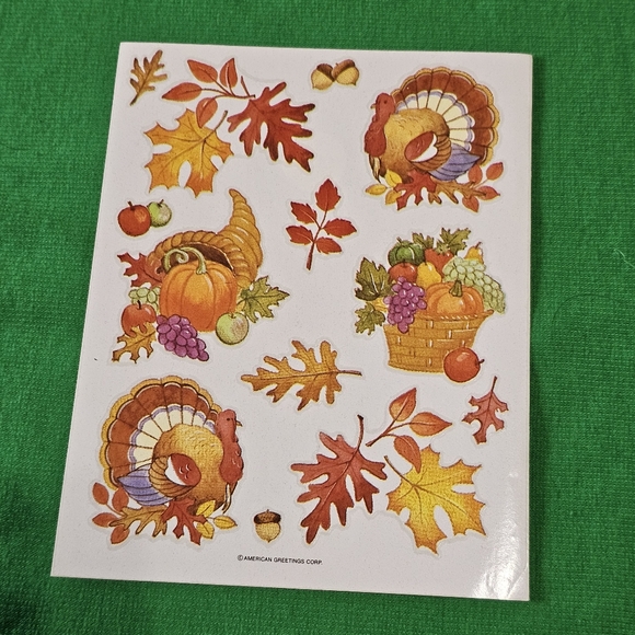 TH1:  Thanksgiving Sticker Bundle - 6 Sheets - American Greetings, Current, etc - Picture 3 of 8